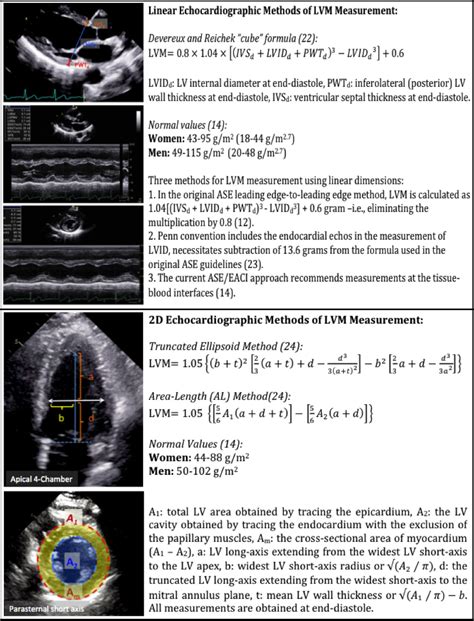 lv mass index bloed|Approaches to Echocardiographic Asse.